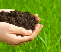 肥料的临沂肥料检测标准是怎么样的